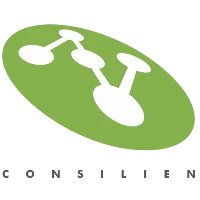 Consilien